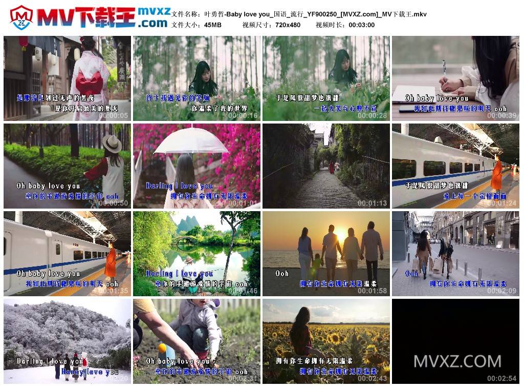 叶勇哲-Baby love you_国语_流行_YF900250